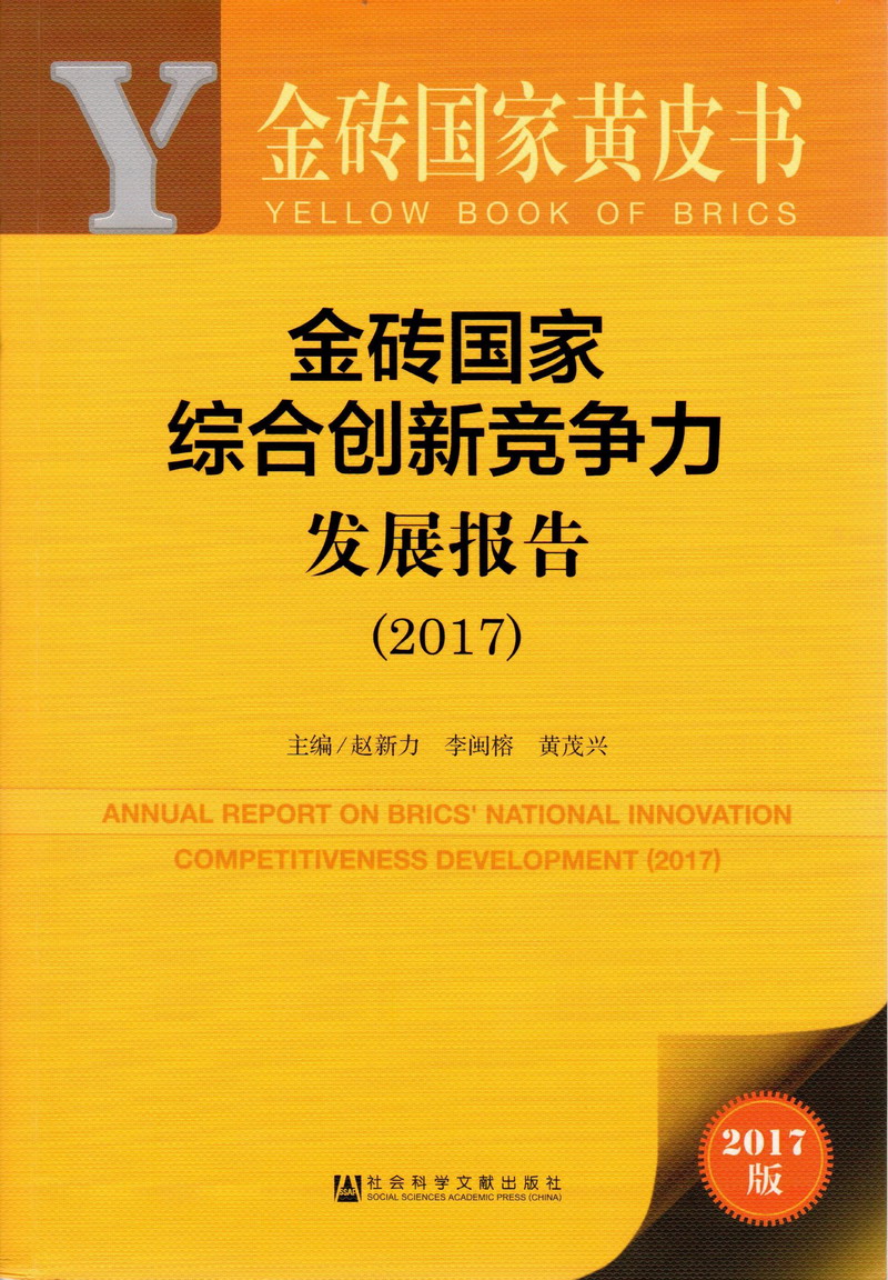 大鸡巴操美女视频在线免费看金砖国家综合创新竞争力发展报告（2017）